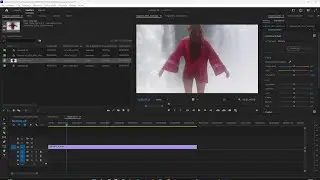 PREMIERE PRO - Lezione 03 - Importa Video, Audio, Risoluzione, Frequenza, Codec, Velocità, Durata