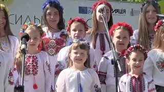 Артфест  "З Україною в серці" смт.Чорнобай 2023 р. Автор: Марина Петренко