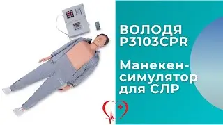 Обзор полноростового манекена-симулятора для отработки навыков СЛР ВОЛОДЯ P3103CPR