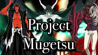 EVERYTHING COMING IN PROJECT MUGETSU NEW UPDATE !!!!