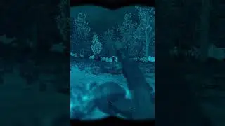 Mutants working together in Stalker Gamma 