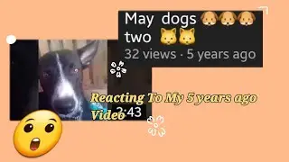 Reacting to my 5 years ago Video | CerealDig_Sarah #reactionvideo