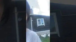 Постой, можно я с тобой 🪿🪿🪿🪿🪿🪿