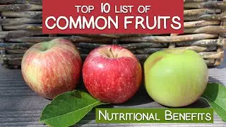 Top 10 List of Common Fruits and Their Nutritional Benefits