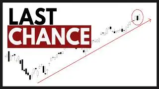 Technical Analysis of Stocks: TSLA / NVDA / SPY / QQQ / PLTR / AMD