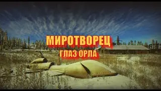 Escape From Tarkov. Миротворец. Глаз Орла 