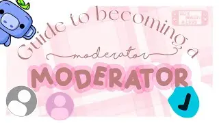 101 guide to becoming a MOD/OWNER | lexi on demand