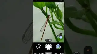 Imc 8.4 config file download🌿 অতি শীঘ্রই আসতেছে।#gcam #lmc8_4 #gcamlmc8