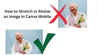 How to stretch or resize an image in Canva Mobile