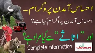 Ehsaas Amdan Program Complete Details in Urdu