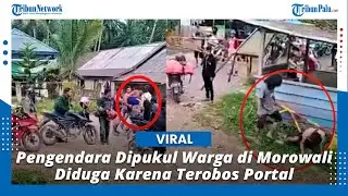 Viral Pengendara Dipukul Warga di Morowali, Diduga Karena Terobos Portal