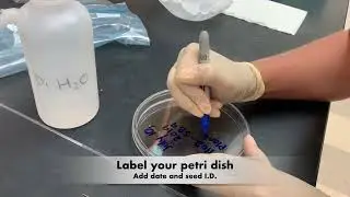 Lee Kendall Seed Germ Test Late