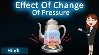 Effect of change of pressure || 3D animated explanation || class 9th & 11th science ||