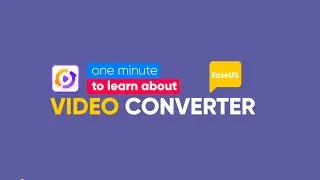 EaseUS Video Converter