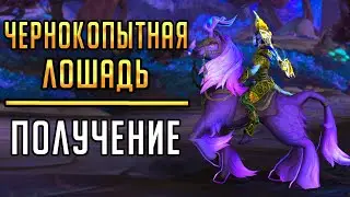 БЫСТРАЯ ЧЕРНОКОПЫТНАЯ ЛОШАДЬ - полный гайд по получению нового маунта Shadowlands!