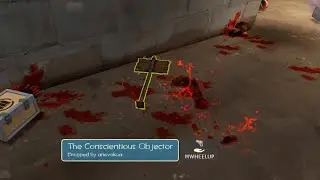 Conscientious Objector №766 | TF2