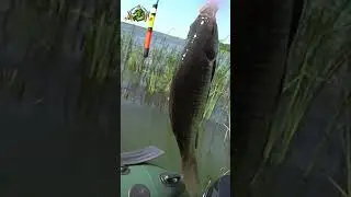 РЫБАЛКА на ПОПЛАВОК🎣🐟💦#shorts