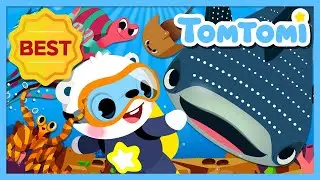 BEST Ocean Animal Songs Compilation | Let's go meet fascinating ocean friends! | Kids Song | TOMTOMI