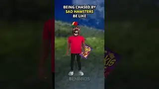 Being Chased by Sad Hamsters be like