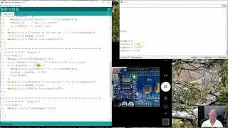 U1M9 While Examples