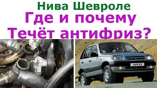 Нива шевроле почему уходит и где течет антифриз