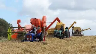 Vintage Harvest Day at Herregården Hessel 2024 - Great Combines in the field | Harvest 2024