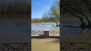 Река Урал переливается через берега!