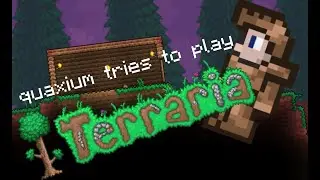 quaxium tries to play TERRARIA!