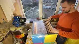 Содержание пчёл ДВЕ СЕМЬИ В ОДНОМ УЛЬИ годовой цикл . Пчеловодство с нуля наш опыт !