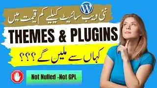 Premium WordPress Themes And Plugins Installation Service In Pakistan