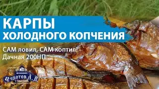 САМ ловил, САМ коптил!!! 🐟 КАРПЫ холодного копчения. Коптильня Дачная 200 НП.  ИП Федотов А. В.