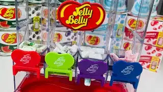Jelly Belly Gum! Which would you choose?! 