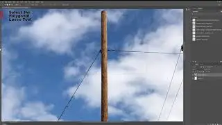 Polygonal Lasso & Rectangular Marquee- Photoshop
