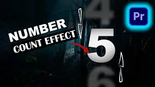 HOW TO DO A NUMBER COUNT EFFECT IN PREMIERE PRO