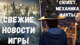 Свежие новости Hogwarts Legacy! Перенос релиза? Интересные факты о Хогвартсе! Механика!