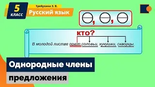 Русский язык. Однородные члены предложения.