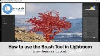 Make Amazing Selections with the Lightroom Brush Tool