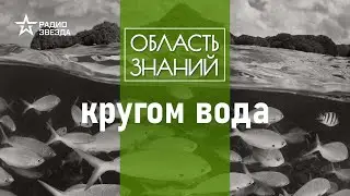 Как человек научился исследовать Мировой океан? Лекция океанолога Александра Осадчиева