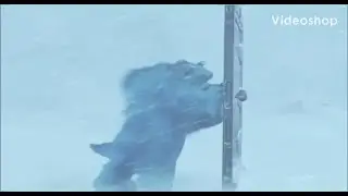 Sully Shouting No No No No Noo Backwards