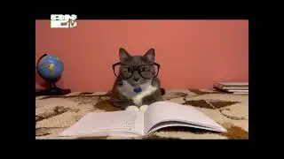 Начало вещание (Андрей ТВ, 19.07.2023, 