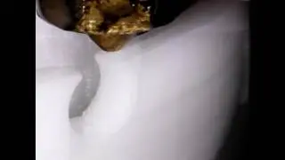 ...Another Benchy... For Science! (Microscope Time Lapse)