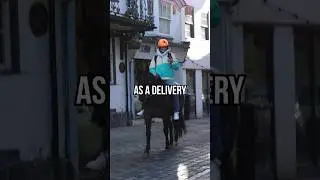 I delivered take out on a horse