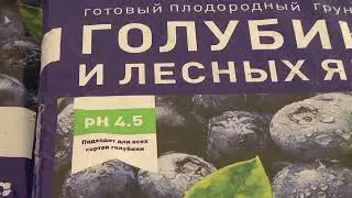 Весенние работы - рекомендации от Садового центра. Подкормка, обработки и уход за газоном.