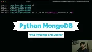 Python MongoDB tutorial using PyMongo and Docker