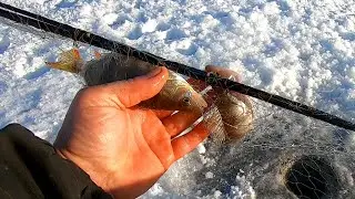ЛОВЛЯ на КОСЫНКИ-РАСКЛАДУШКИ на 7-8 метрах в ГЛУХОЗИМЬЕ!