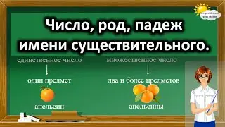 Русский язык. Число, род, падеж имени существительного.