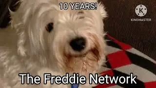 Happy 10th Birthday, Freddie!