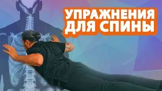 Упражнения для укрепления позвоночника