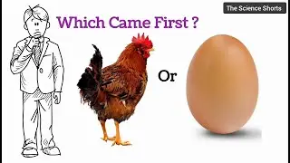 Which Came First Chicken or Egg ? |#science#education