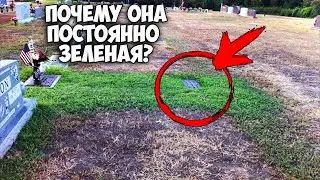 Мать не могла понять, почему трава на могиле ее сына стала зеленой. Потом она узнала, в чем причина…